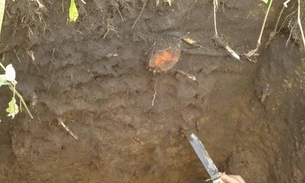  Terra preta da região Sul do Amazonas é analisada em pesquisa de solos 