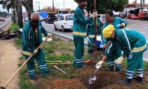  Manaus tem 7,5 mil mudas plantadas  