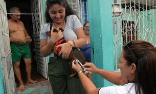 Cães e gatos de seis bairros de Manaus serão vacinados nesta semana   