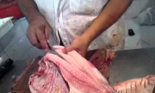 Aprenda como retirar espinhas do tambaqui