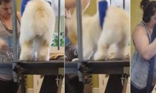 Vídeo chocante mostra funcionária de pet shop agredindo cachorro