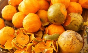 Shopping em Manaus inaugura feira de produtos regionais nesta terça-feira