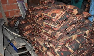 Mulher paga mais de R$ 20 mil em multa por venda ilegal de carvão em Manaus