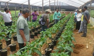 Afeam investe mais de R$ 40,7 milhões em produtores rurais 