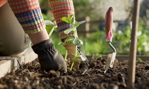 Prefeitura oferece minicurso de noções básicas de jardinagem e paisagismo