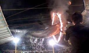 Vídeo que mostra golfinhos saltando por dentro de anéis de fogo, causa revolta na web 