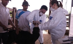 Veterinários são capacitados por técnicos do MAPA 