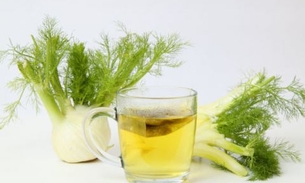 Funcho: remédio caseiro para cólicas e problemas urinários 