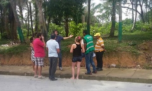 Placas de identificação furtadas são reinstaladas em área verde 
