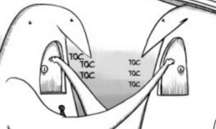 OAB-AM e governo erram ao alimentar polêmica