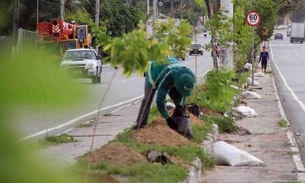  Arboriza Manaus intensifica manutenção de muda de plantas 