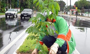 Projeto de arborização realiza plantio na zona norte de Manaus 