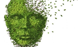 Planta é rica em vitaminas que podem prevenir a demência 