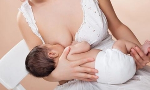 Semente pode combater anemia e favorece a lactação 