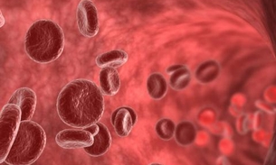 Abóbora do Mato é considerada um dos mais poderosos purificadores sanguíneos