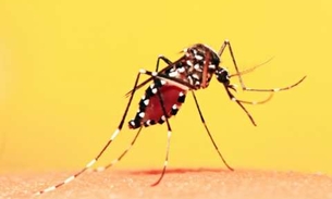 Vacinação contra febre amarela tem indicação permanente no Amazonas 