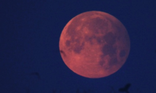 Veja fotos do primeiro eclipse lunar de 2017
