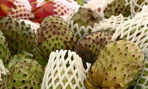 Fruta revela poder em prevenir câncer e outras doenças