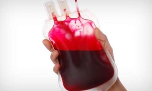 Planta ajuda a purificar o sangue e tem propriedades diuréticas 