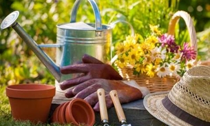 Noções Básicas de Produção de Mudas abre inscrições gratuitas para minicursos 