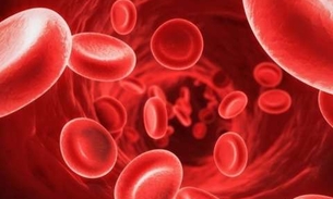 De nome e uso popular planta combate hemorragias