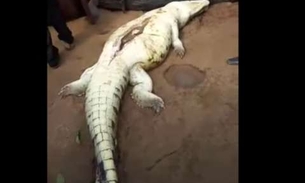 Moradores abrem barriga de crocodilo e encontram criança desaparecida 