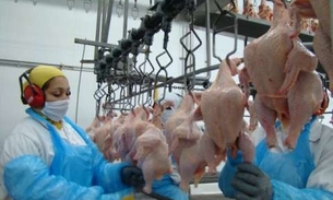 Coreia do Sul suspende a proibição de importações de frango brasileiro