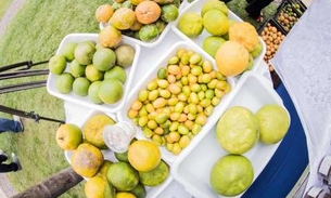 4º edição da Feira da Agricultura Familiar acontece neste sábado em Manaus 