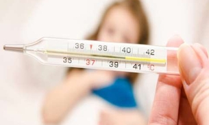 Casca de planta é indicada para combater anemia e febre 