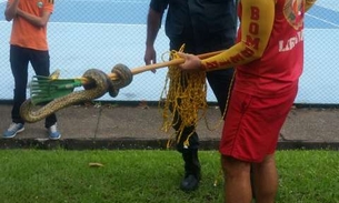 Sucuri de 1,5m é encontrada em hotel de luxo de Manaus