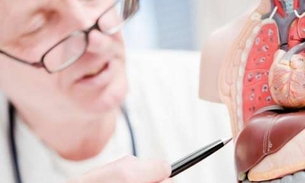 Planta é conhecida por tratar hepatites e dores no fígado 