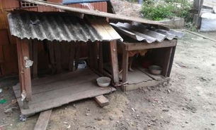 Quatro casos de maus-tratos a animais são confirmados pela polícia em Manaus