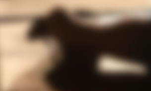 Decapitado e sem as mãos, corpo de homem é encontrado atrás de residência no AM