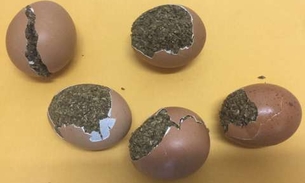 Homem tenta entrar com maconha dentro de ovos na UPP de Manaus