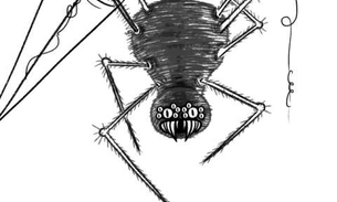 Veneno de aranha pode gerar remédio para disfunção erétil