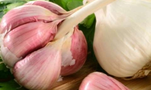 Alho destrói 14 bactérias e combate doenças; Saiba usar corretamente