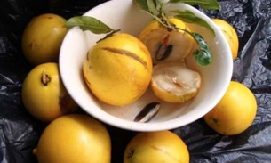 Fruta cítrica tem ação preventiva contra AVC