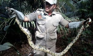Homem encontra jiboia de 2 metros em forro de carro em Manaus