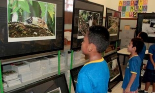 Escola realiza ação de conscientização para preservação ao Sauim de Coleira em Manaus  