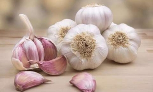 Conheça 3 antibióticos naturais que ajudam a combater bactérias 