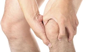 Planta cujas sementes e flores são venenosas é usada em remédio contra ácido úrico 