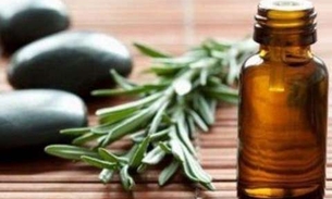 Fonte de antioxidantes, óleo de erva fortalece sistema imunológico e ajuda a melhorar memória