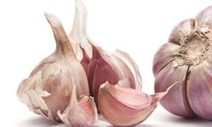 Estudo afirma que homens que comem alho são mais atraentes 