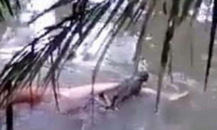 Crocodilo ataca banhista e 'devolve' corpo para a família 