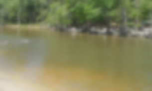 Criança de 4 anos morre afogada em comunidade no AM