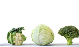 Brócolis, couve e repolho ajudam no tratamento de diabetes
