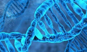 Edição de DNA em embrião humano feita é confirmada 