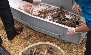 Ossadas de índios desaparecidos há mais 1 ano são encontradas em fazenda