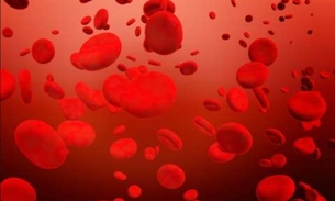 Conheça alimentos que estimulam formação de plaquetas no sangue e evitam hemorragias 