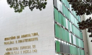 Com oportunidades em Manaus, Ministério da Agricultura oferta mais de 780 vagas de estágio